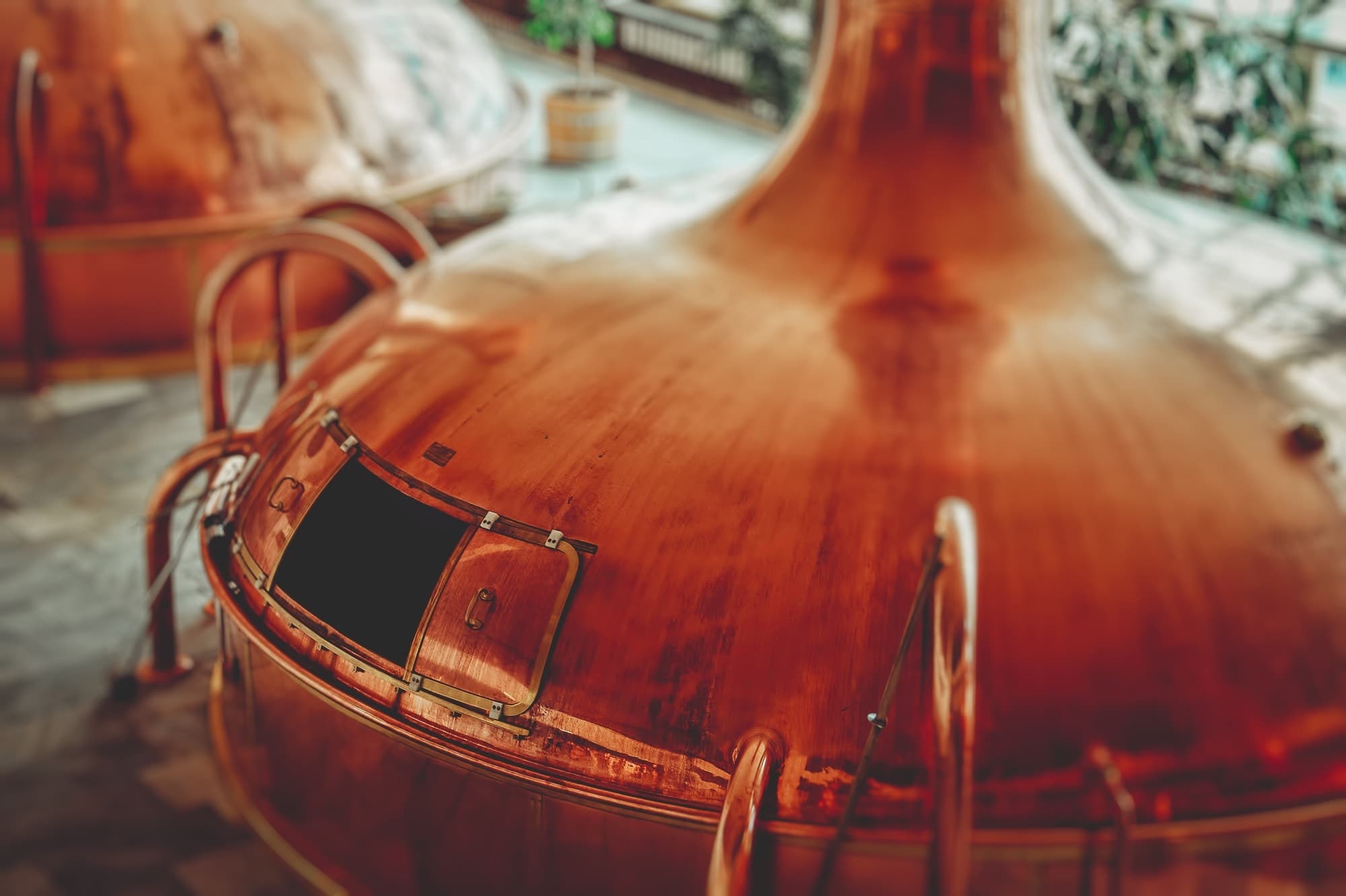 Home Brewing 101: Everything You Need to Get Started